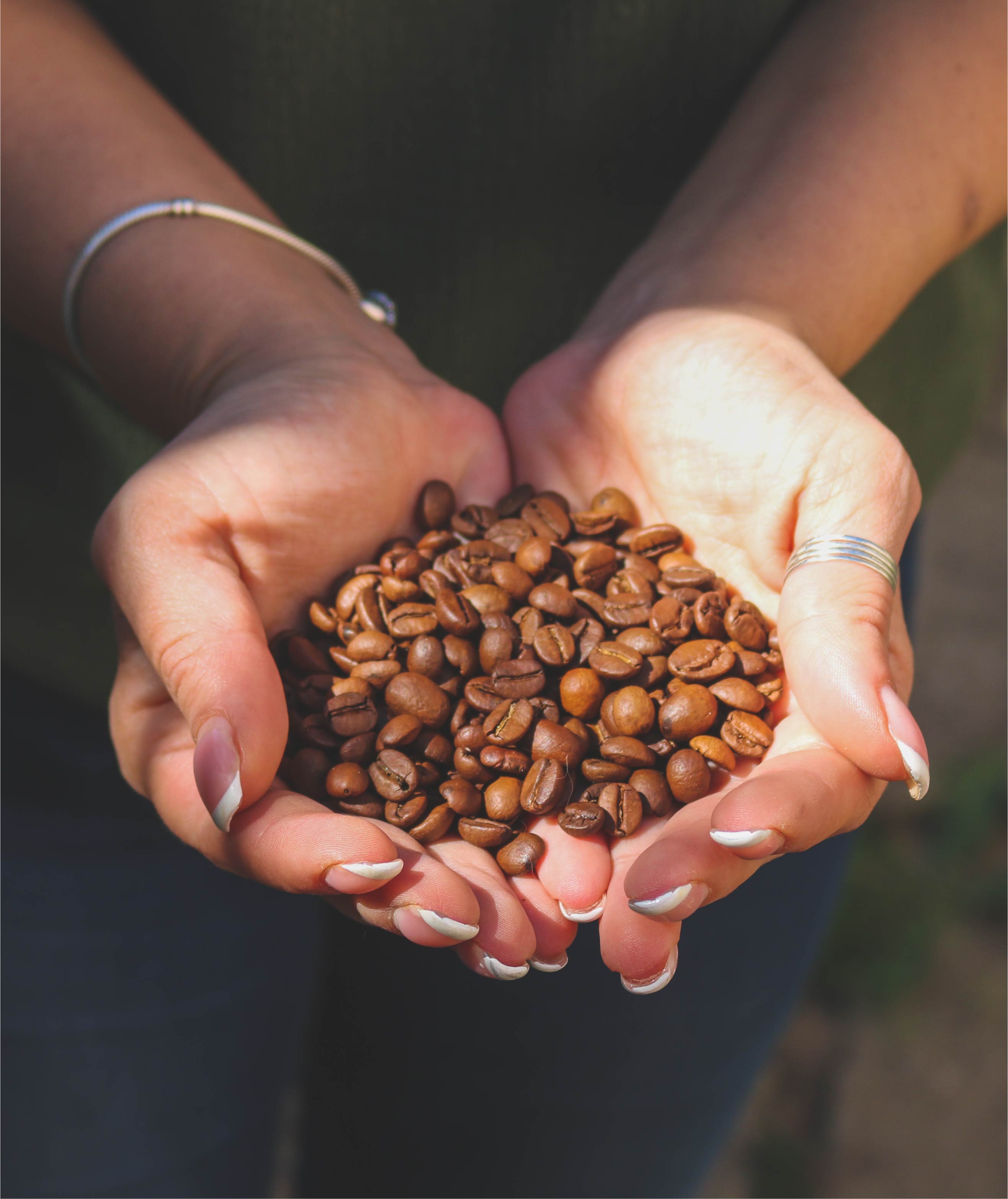 قهوه کلمبیا سوپریمو عربیکا